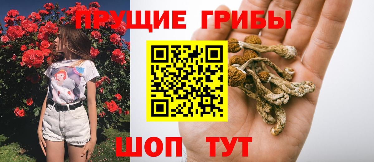 Галлюциногенные грибы мухоморы Будённовск